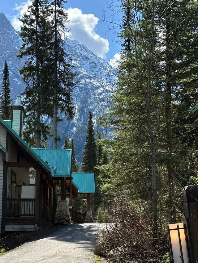 Emerald Lake Lodge – A Timeless Alpine Escape