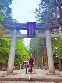 飛驒高山老街近郊的飛驒山王宮-日枝神社