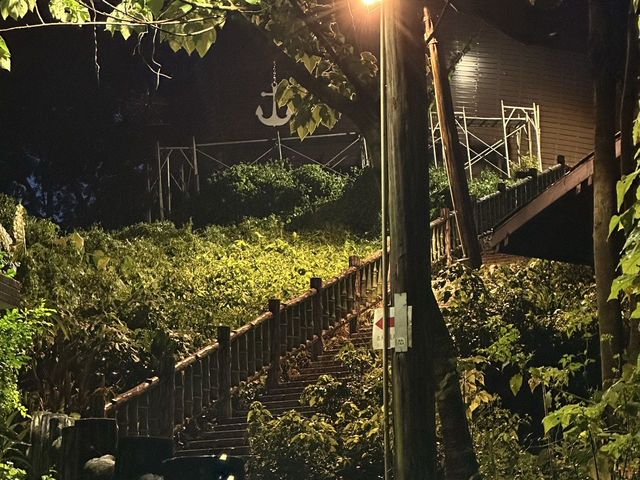 台北市最紅的觀景平台! 台北市最紅的觀景平台!