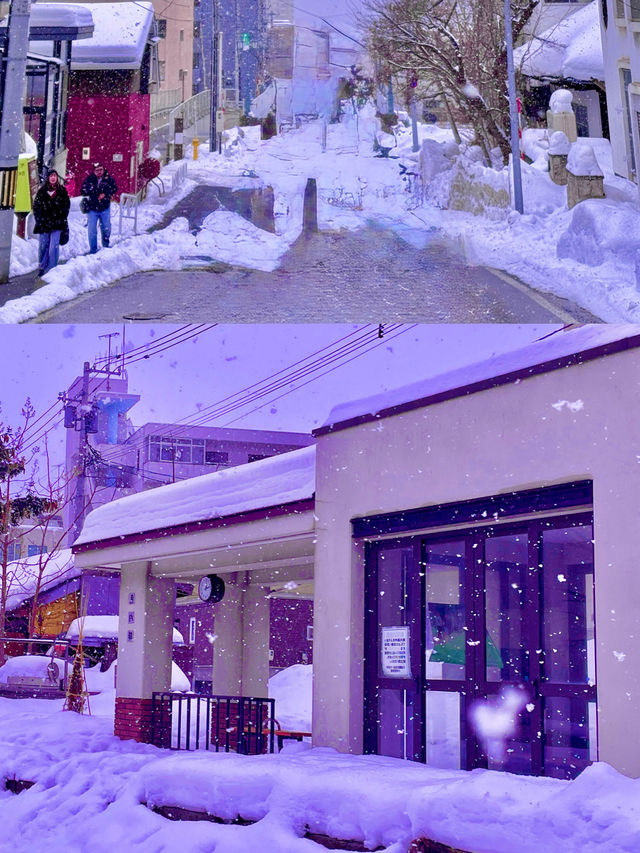 ✨ 일본 여행, 도쿄/오타루 어디로 갈까?✨