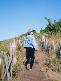 🏞️ กิ่วแม่ปาน – เส้นทางเดินชมธรรมชาติสุดปัง