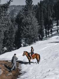PAHALGAM TRIP