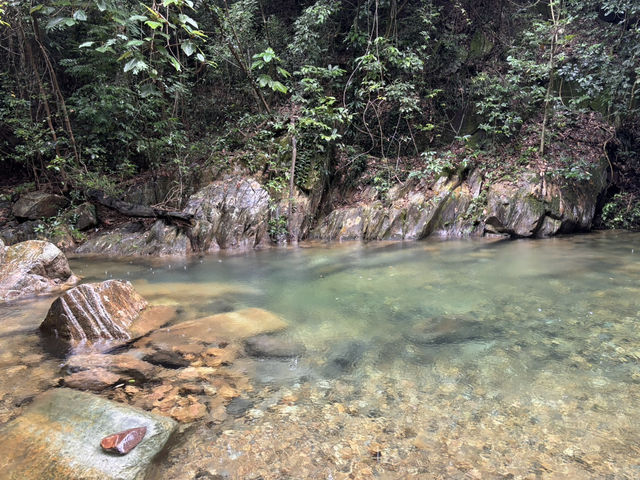 Chillin’ at 鼎湖山: Scenic Vibes & Insta-Worthy Spots 📸🌳