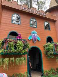 The Orchid Forest Cikole, Bandung 🌲✨
