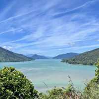 Cullen Point Lookout – Pelorus & Mahau Sound Panorama