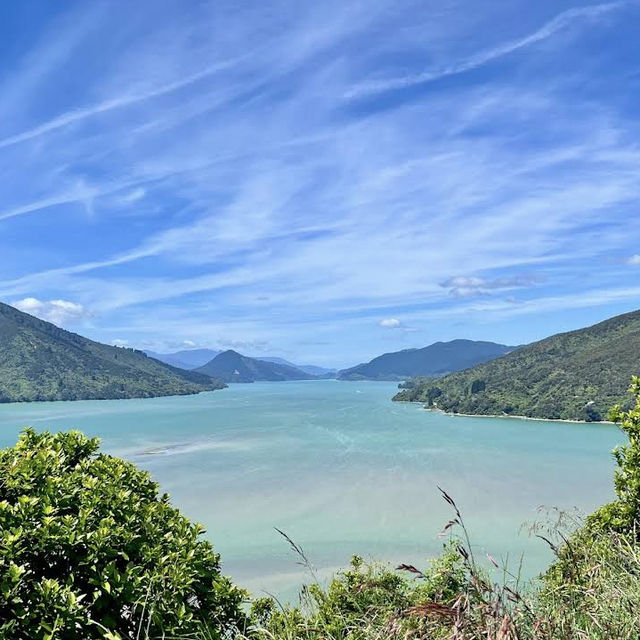 Cullen Point Lookout – Pelorus & Mahau Sound Panorama