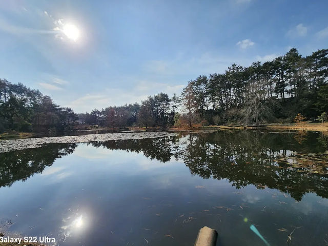 천리포수목원 천리포수목원