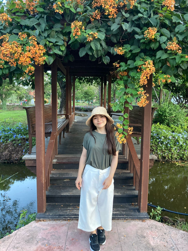 เมืองโบราณ เมืองโบราณ