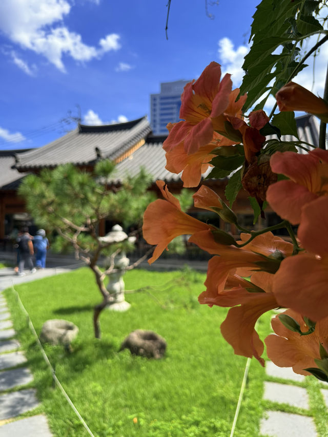 大邱|旅行團都排進景點 百年韓屋星巴克的細節之美 大邱|旅行團都排進景點 百年韓屋星巴克的細節之美