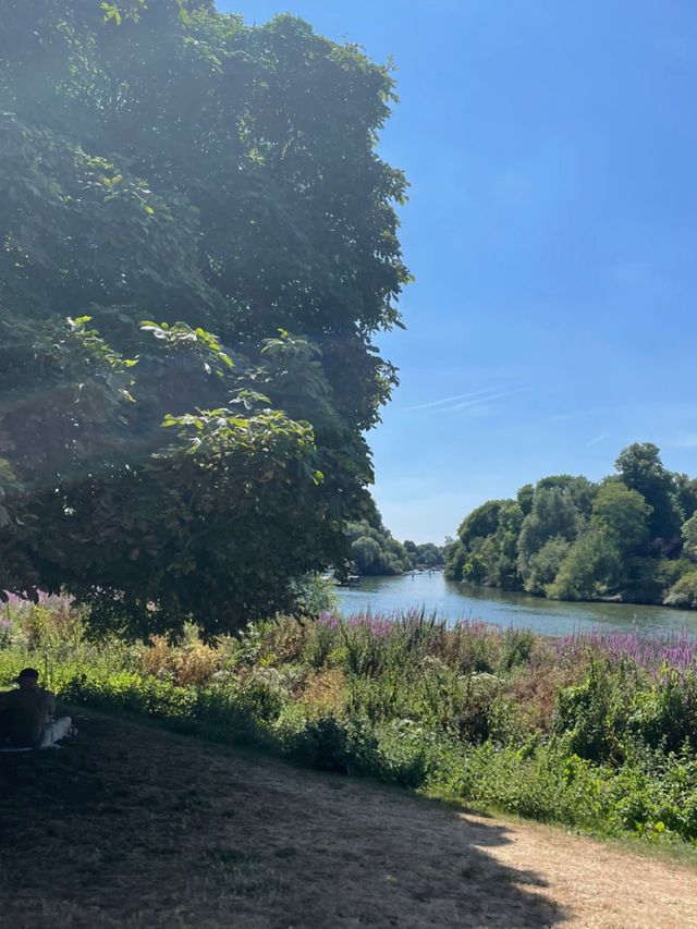 Nature Meets City🌳