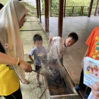 Taiping Bamboo Resort, Perak 🇲🇾