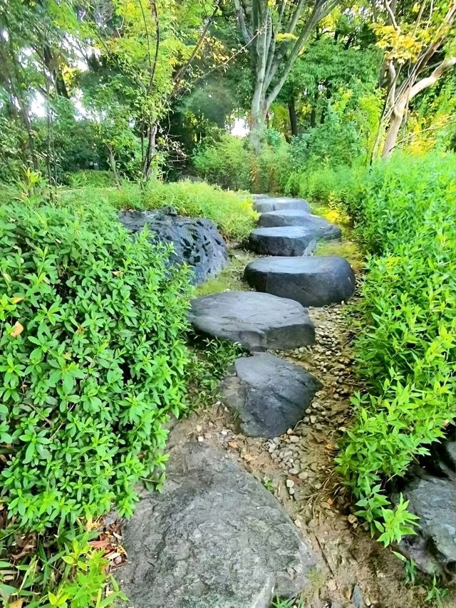 Peaceful Beauty at Shirotori Garden, Nagoya