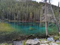 Nature Wonders