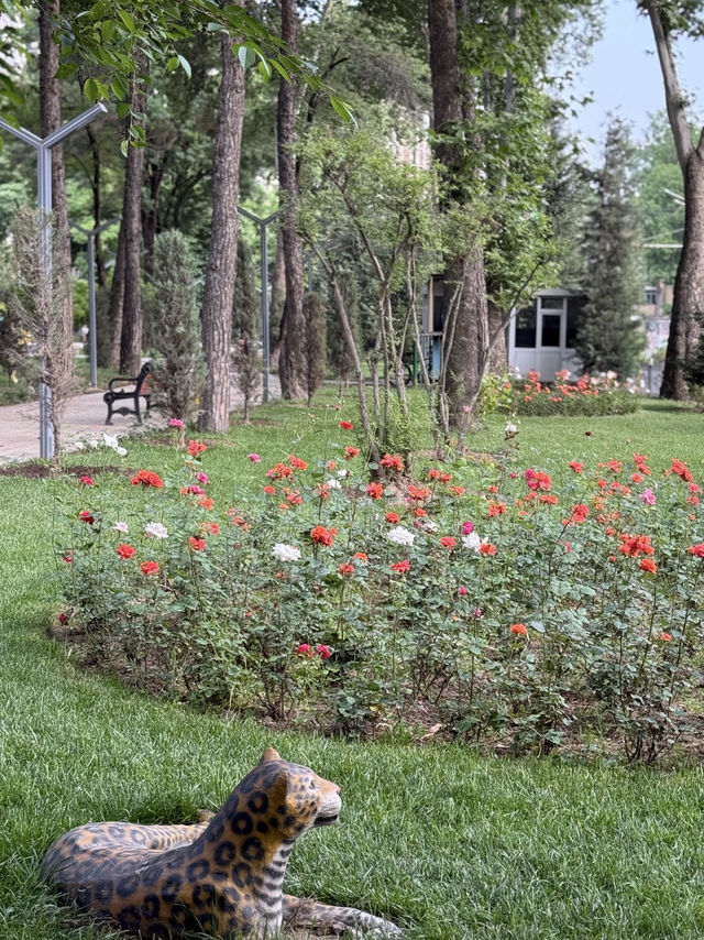 🌹 A City of Roses: Strolling Through Dushanbe