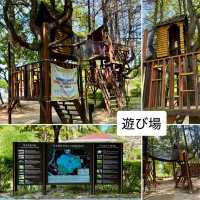 【全州】ソウルから日帰り旅❗️徳津公園&蓮花亭図書館