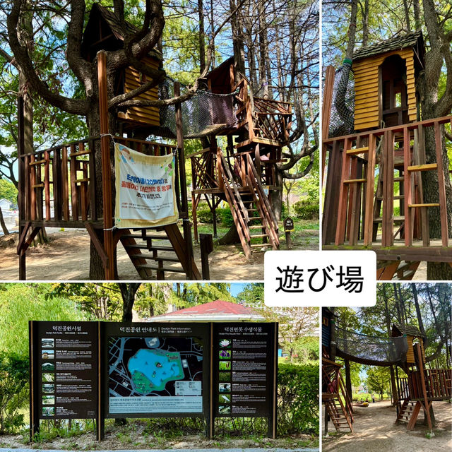 【全州】ソウルから日帰り旅❗️徳津公園&蓮花亭図書館  【全州】ソウルから日帰り旅❗️徳津公園&蓮花亭図書館