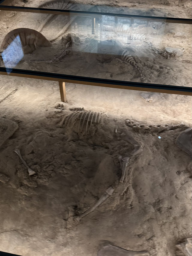 Xiang Yang Museum—free to visit🤩 Xiang Yang Museum—free to visit🤩