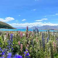 Turquoise Dreams at Lake Tekapo