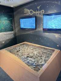 香港首個！「浮海探蜀」VR沉浸式三星堆文物展