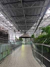 名古屋親子活動最佳場所#名古屋東山動植物園-日本愛知縣名古屋市