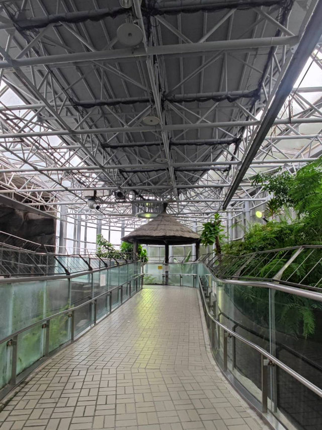 名古屋親子活動最佳場所#名古屋東山動植物園-日本愛知縣名古屋市