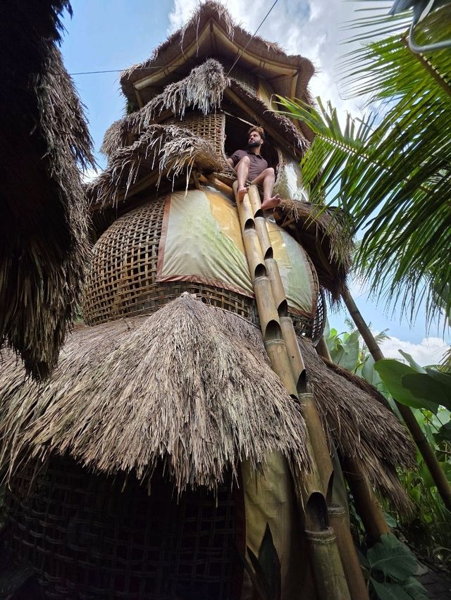 $20 Nature’s Haven in Bali