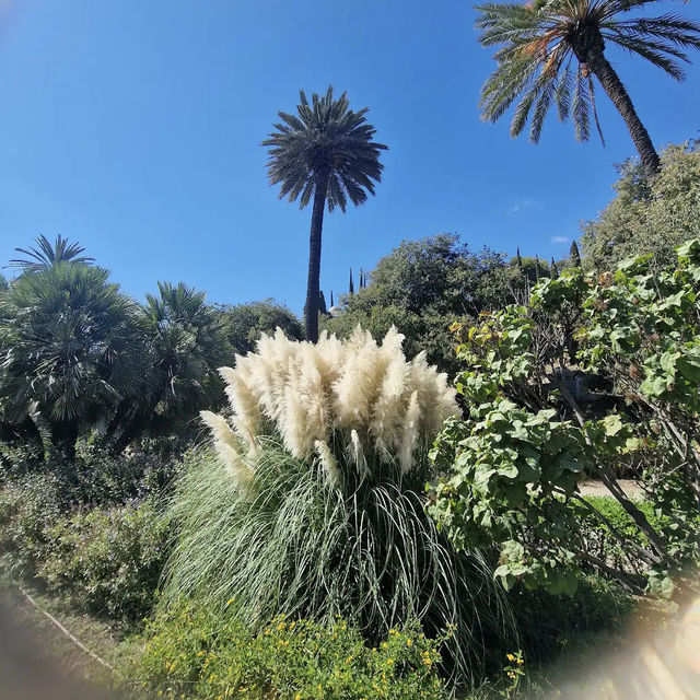 Jardín Botánico Histórico La Concepción