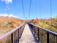 自然がいっぱい🌳那須の紅葉スポット