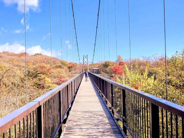 自然がいっぱい🌳那須の紅葉スポット