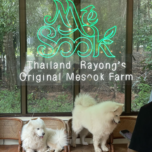 มีสุขฟาร์ม