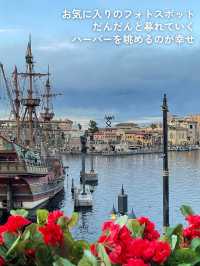 🌏私の大好きなディズニーシーの旅🚢