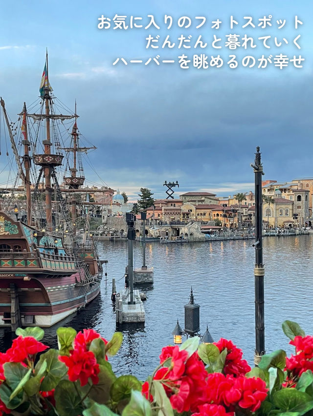 🌏私の大好きなディズニーシーの旅🚢