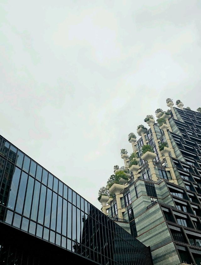 Tian An 1,000 Trees