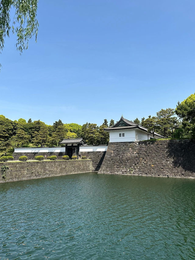 🎌🏯⛩️🎏 พระราชวังอิมพีเรียล (Imperial Palace)