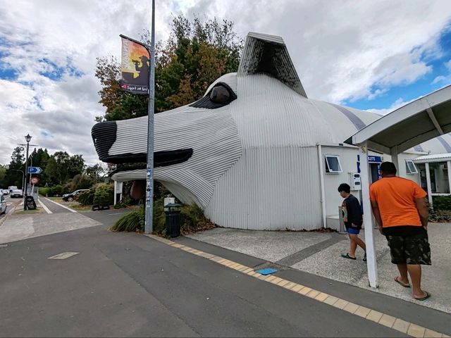 Tīrau: New Zealand's Quirky Corrugated Iron Town