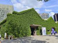🎭☕ Creativity in Full Bloom at Huashan 1914 Creative Park 🎨🌸