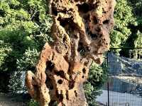 Denver Botanic Gardens