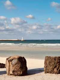 The Iconic Sehwa Coastal Wall and Marketplace
