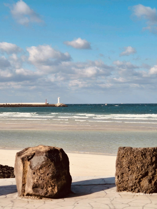 The Iconic Sehwa Coastal Wall and Marketplace
