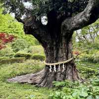 Hotel Chinzan-sō Tokyo Garden