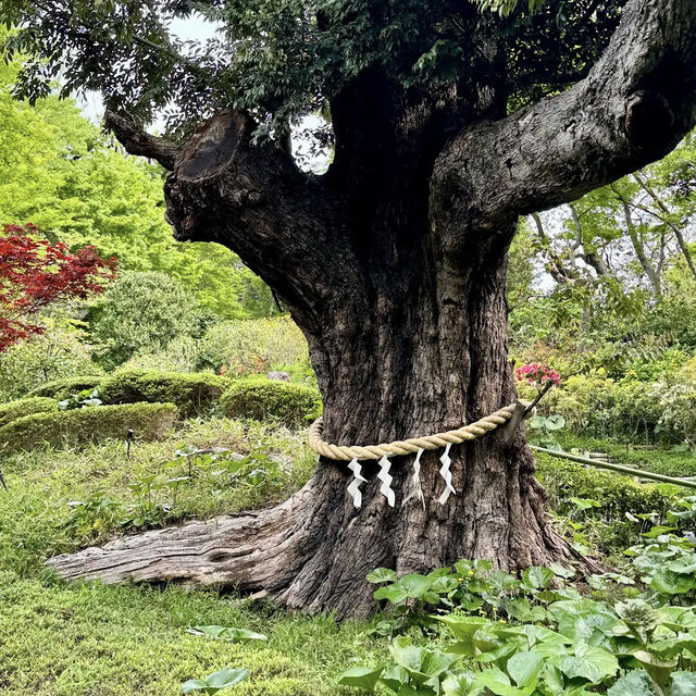 Hotel Chinzan-sō Tokyo Garden