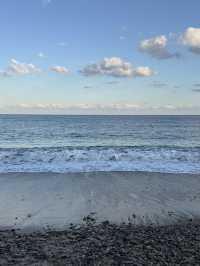 ๐ ํ๊ฐ์์ ๊ณ ์ฆ๋ํ ๋ฐ๋ค ๋ง์ โ ๊ฒฝ์ฃผ ์๋จ๋ฉด ์ถ์์ฌํ ๊ฐ์ด๋