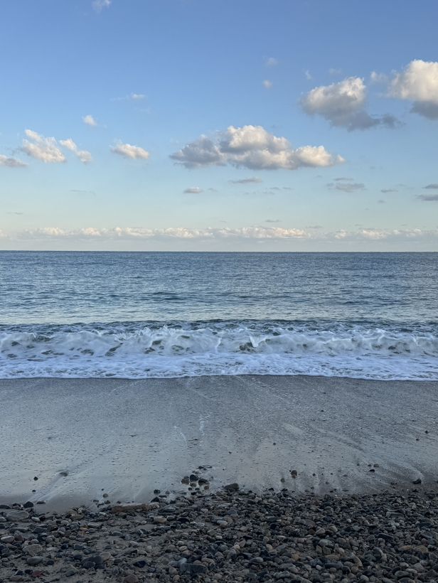 ๐ ํ๊ฐ์์ ๊ณ ์ฆ๋ํ ๋ฐ๋ค ๋ง์ โ ๊ฒฝ์ฃผ ์๋จ๋ฉด ์ถ์์ฌํ ๊ฐ์ด๋ ๐ ํ๊ฐ์์ ๊ณ ์ฆ๋ํ ๋ฐ๋ค ๋ง์ โ ๊ฒฝ์ฃผ ์๋จ๋ฉด ์ถ์์ฌํ ๊ฐ์ด๋