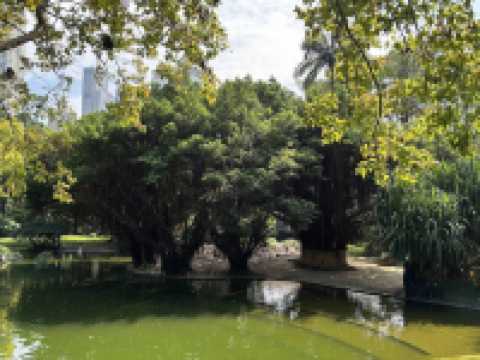 Kowloon Park 九龍公園
