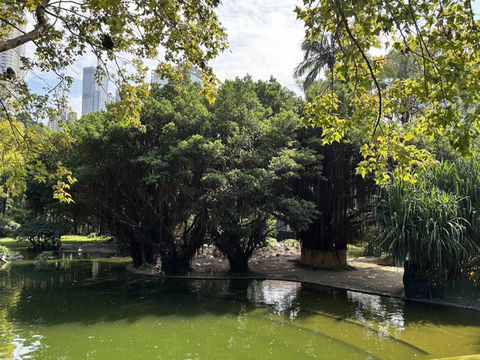 Kowloon Park 九龍公園