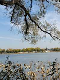 北京之旅:頤和園與故宮的歷史與靜美