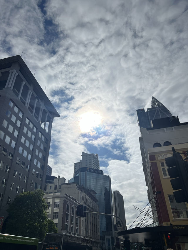 紐西蘭景點推薦—奧克蘭塔｜Sky Tower 的城市高度時刻