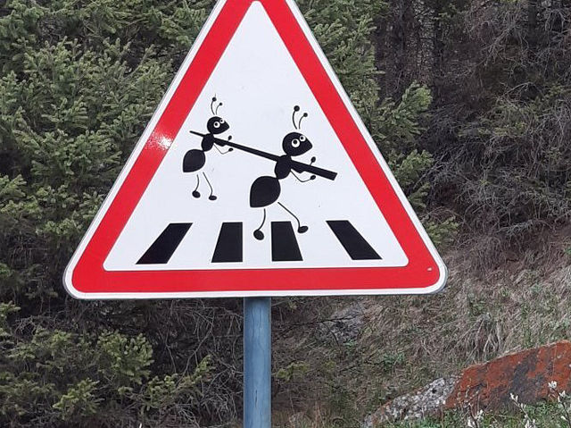 Ile-Alatau National Park - Made Kazakhstan worthwhile