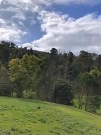 Best Friend Holiday Retreat：在 Tarra Valley 遇见最简单的快乐