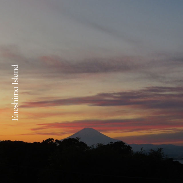  🌊 รีวิวเกาะเอโนชิมะ (Enoshima) 